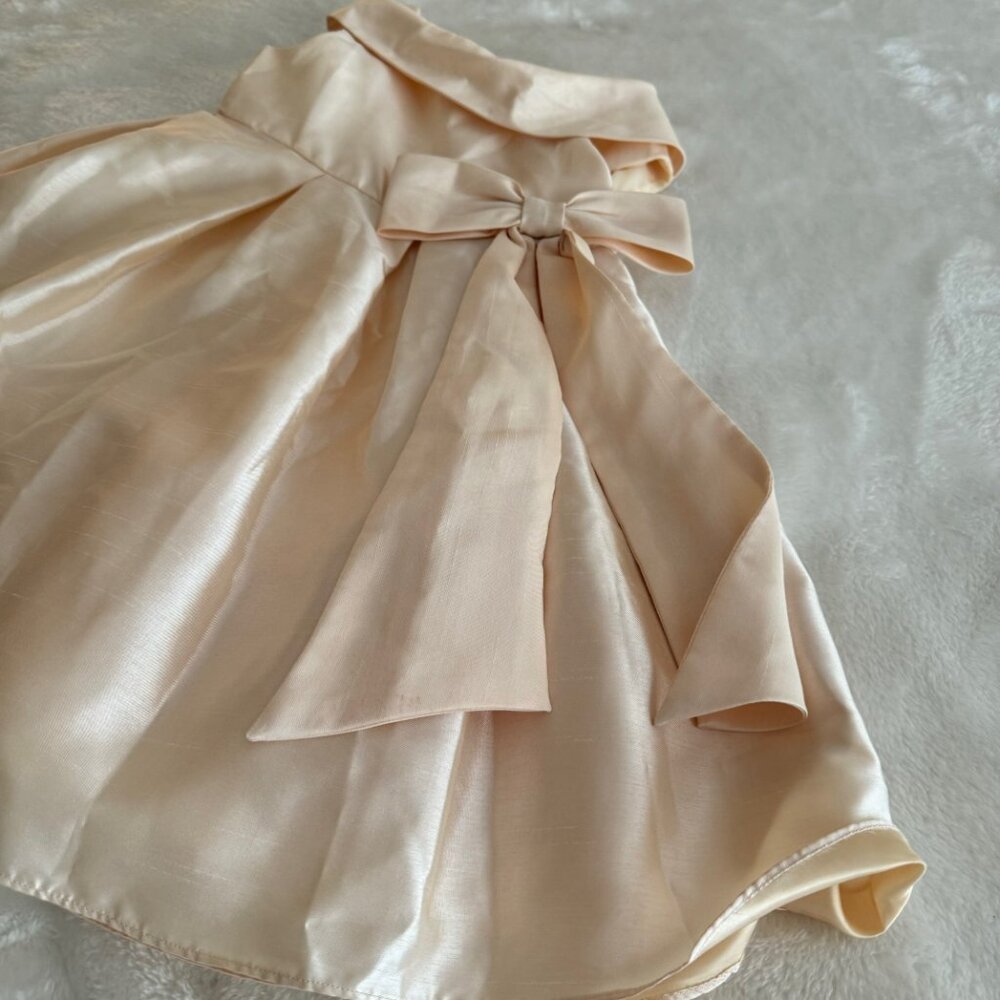 Edgehill Collection Ivory Satin Formal Dress With Full Petticoat Size 3T - Picture 5 of 15